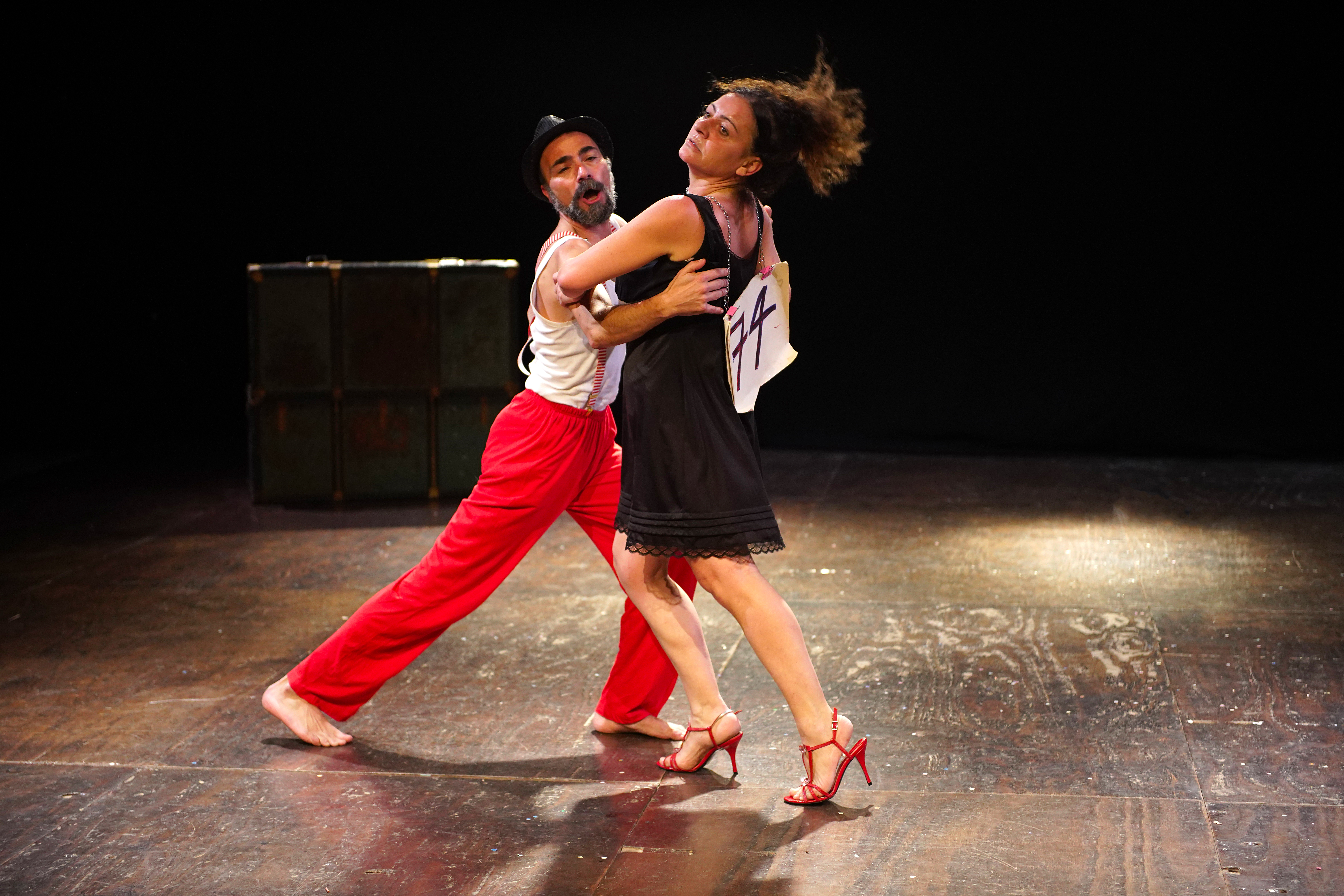 Immagine di Il tango delle capinere